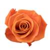 Carnelian
