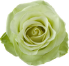 Green Romance