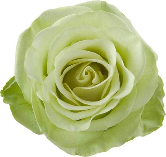GREEN ROMANCE